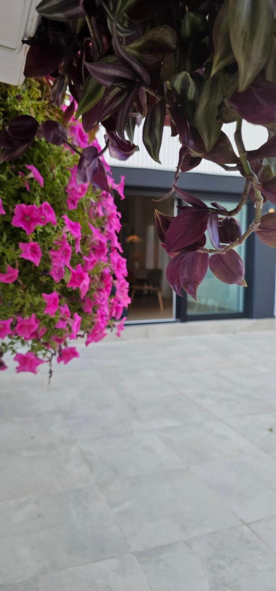 Albayda Garden Apartment Granada Luaran gambar